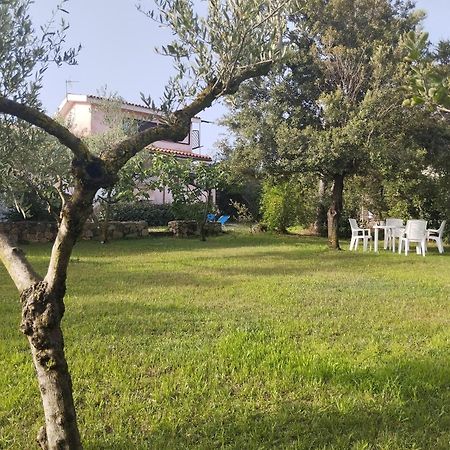 Appartamento In Villa Bruno 올비아 외부 사진