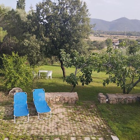 Appartamento In Villa Bruno 올비아 외부 사진
