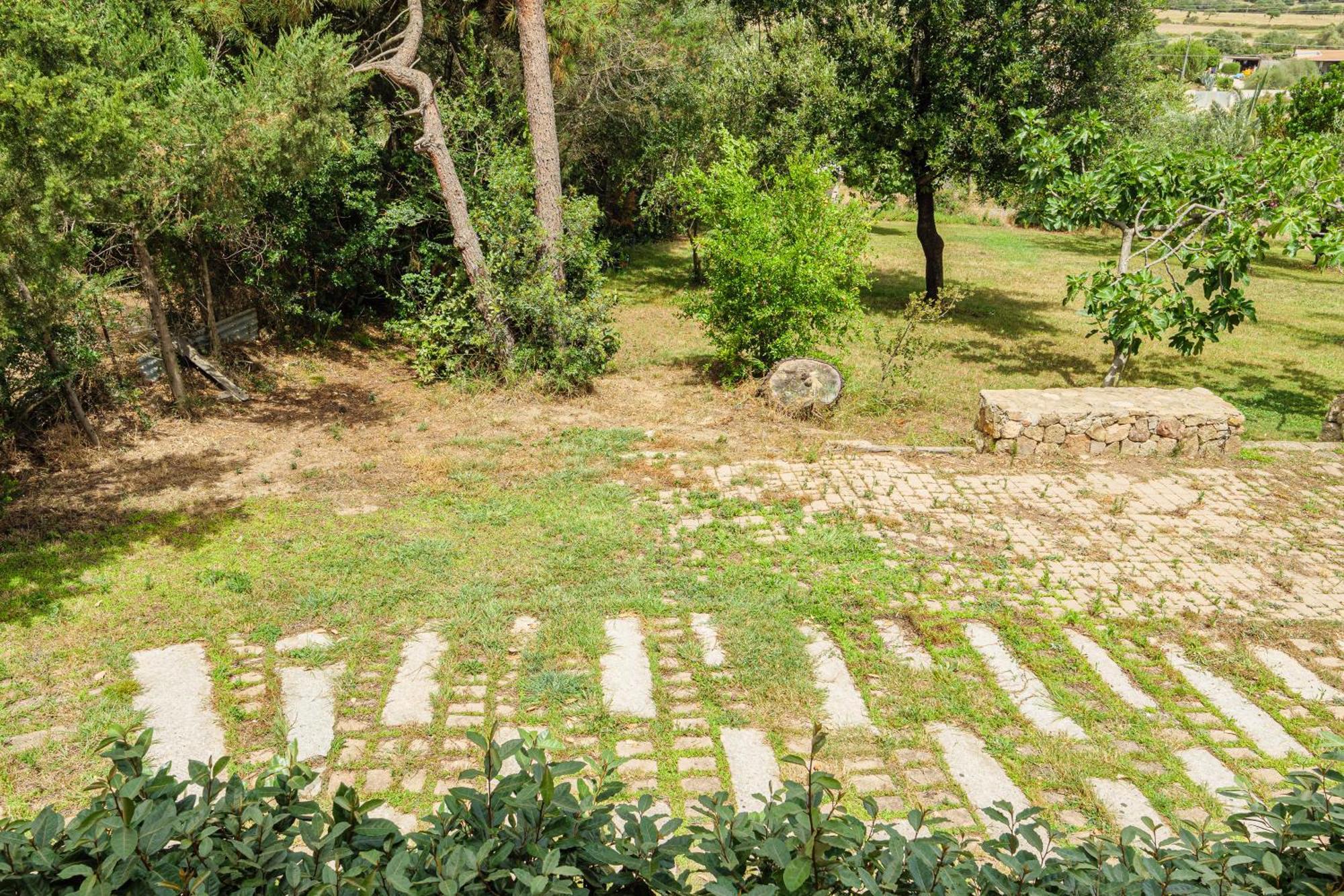 Appartamento In Villa Bruno 올비아 외부 사진