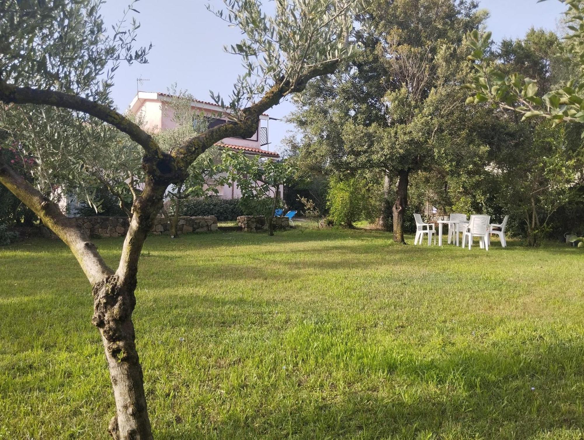Appartamento In Villa Bruno 올비아 외부 사진