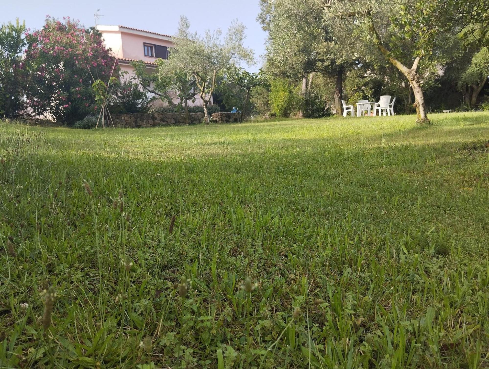 Appartamento In Villa Bruno 올비아 외부 사진